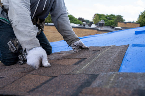 Best Roof Gutter Cleaning  in Palmetto Estates, FL