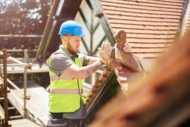 Best Roof Leak Repair  in Palmetto Estates, FL