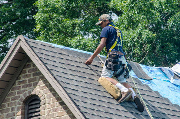 Roof Gutter Cleaning in Palmetto Estates, FL